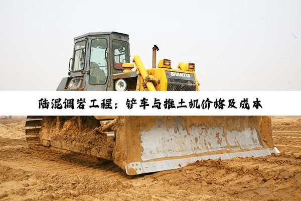 陆混调岩工程：铲车与推土机价格及成本全解析